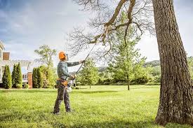 Best Lot and Land Clearing  in Bluefield, VA
