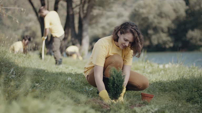 Best Lawn Drainage Solutions  in Bluefield, VA